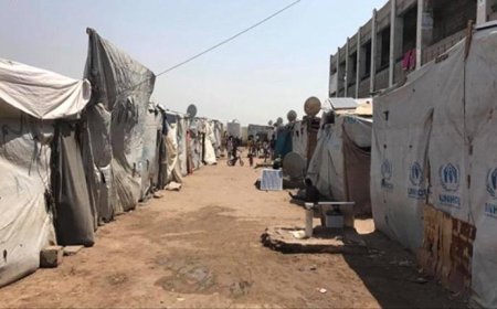 في ظلال الحرب: المرأة اليمنية ومعاناة النزوح