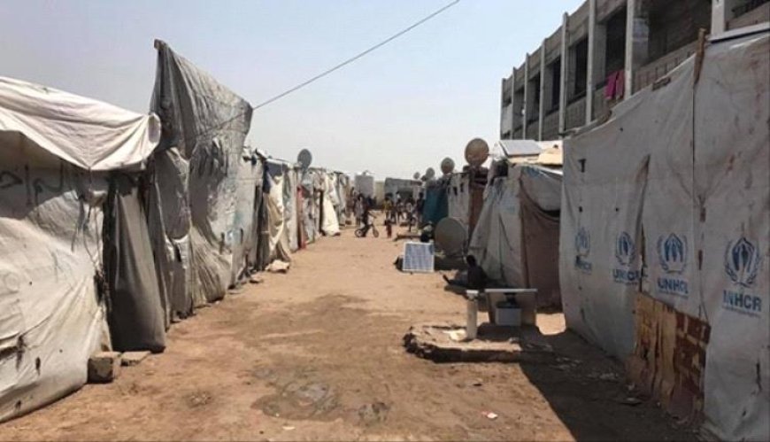 في ظلال الحرب: المرأة اليمنية ومعاناة النزوح