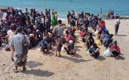 وصول خامس دفعة من المهاجرين الأفارقة إلى شبوة خلال يوليو الجاري