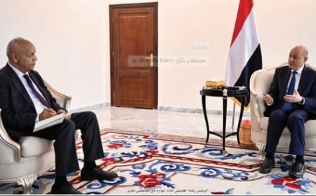 العليمي : نُغطي 40% فقط من الموازنة وما تبقى يُقدَّم لنا من السعودية والامارات 