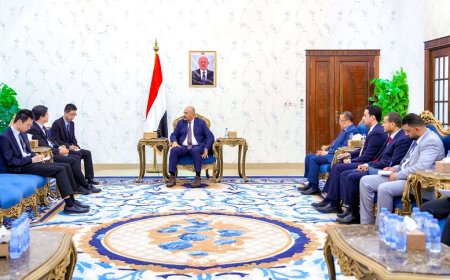 الزُبيدي يؤكد حاجة اليمن للخبرات الصينية لإعادة تأهيل قطاع الكهرباء 