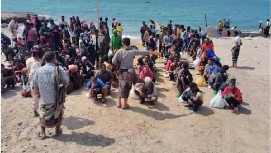 وصول خامس دفعة من المهاجرين الأفارقة إلى شبوة خلال يوليو الجاري