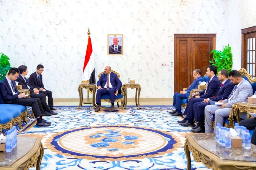 الزُبيدي يؤكد حاجة اليمن للخبرات الصينية لإعادة تأهيل قطاع الكهرباء