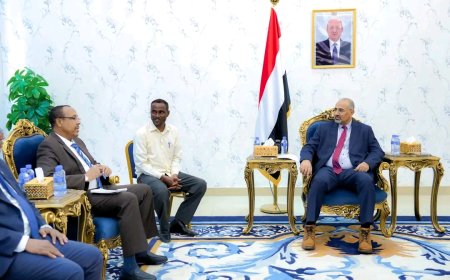 اللواء الزُبيدي يُحذر من تنامي التخادم بين مليشيا الحوثي وحركة الشباب الصومالية وتنظيم القاعدة