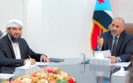 مجلس "رئاسي" مُصغر .. معركة الإصلاحات في عدن هل تعيد هيكلة الشرعية؟ 