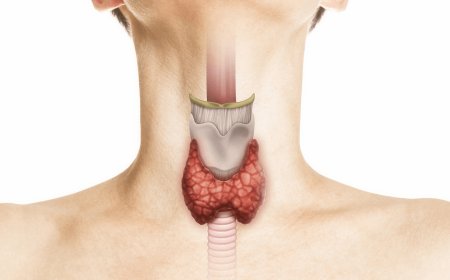 فرط نشاط الغدة الدرقية… عندما يقود اضطراب الهرمونات إلى القلق والعصبية
