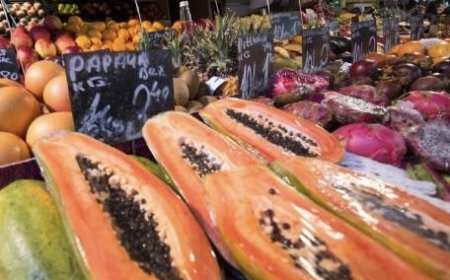 بذور البابايا بين الفوائد والأضرار.. هل هي صالحة للأكل؟