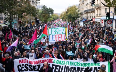 سياسيون في أيرلندا الشمالية و اسكتلندا و ويلز يطالبون لندن بوقف بيع السلاح لإسرائيل و فرض عقوبات عليها