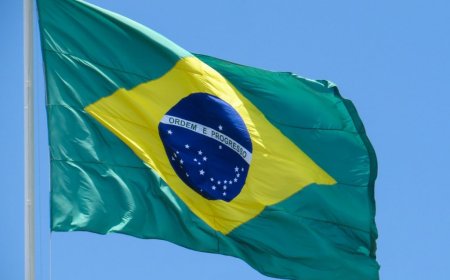 الخارجية البرازيلية تنتقد تصريحات كاتس و تطالب بالكشف عن حقيقة الهجوم على مستشفى ناصر