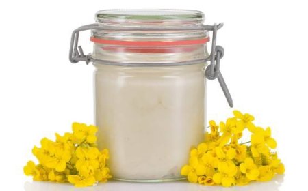 العسل الأبيض.. الذهب النادر الذي يخطف الأنظار بفوائده الصحية