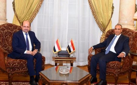 تعزيز الشراكة اليمنية – المصرية: لقاء وزيري الخارجية في القاهرة