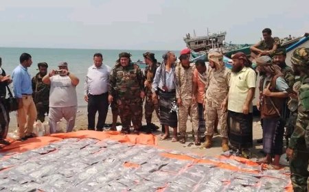 الحملة الأمنية المشتركة تضبط كمية كبيرة من المخدرات في ساحل رأس العارة بمحافظة لحج