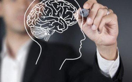 أنواع الذاكرة عند الإنسان.. كيف يعمل العقل على تخزين واستدعاء المعلومات؟