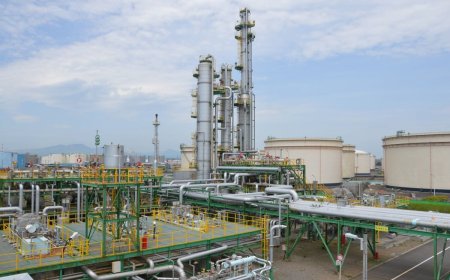 اليابان تراهن على “التمثيل الضوئي الاصطناعي” لثورة طاقة خضراء بحلول 2040