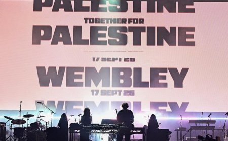 2 مليون دولار.. أكثر من 100 فنان و مشهور يشاركون بحفل لجمع التبرعات لفلسطين