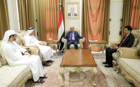 رئيس الوزراء يشيد بالعلاقات المتميزة مع الإمارات ويؤكد أن دعمها أساسي لتماسك مؤسسات الدولة