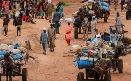 انهيار كامل للوضع الإنساني في مدينة الفاشر السودانية