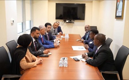 اللواء الزُبيدي يبحث مجالات التعاون المشترك مع جمهوريتي أوغندا والصومال
