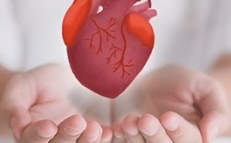 مرض القلب.. علامات مبكرة تستوجب الانتباه