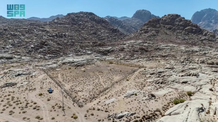 اكتشاف أقدم مستوطنة معمارية في الجزيرة العربية شمال غرب السعودية