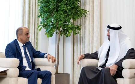 رئيس الإمارات الشيخ محمد بن زايد يستقبل رئيس مجلس الوزراء سالم بن بريك ويؤكد استمرار دعم اليمن