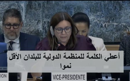 منظمة دولية تدعو إلى إعادة هيكلة المجلس الرئاسي وتشكيل حكومتين انتقاليتين جنوبية وشمالية