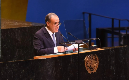 وزير خارجية مصر.. ترمب هو الضمانة الأولى لتنفيذ خطته في غزة