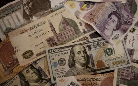 الاحتياطي النقدي الأجنبي لمصر يقترب من 50 مليار دولار: نجاح السياسات الاقتصادية وتحديات الاستدامة