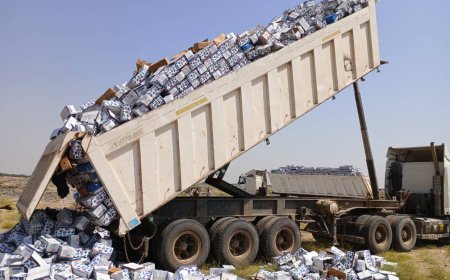 مديرية ‎المنصورة بإدارة ‎قسم صحة البيئة تتلف 3000 كرتون من الأجبان غير الصالحة للاستهلاك