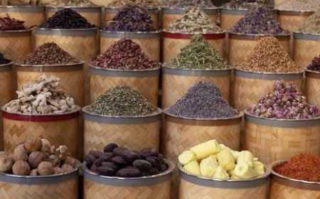 الأعشاب.. بين الفائدة والضرورة الطبية: هل يمكن علاج ارتفاع ضغط الدم طبيعياً؟