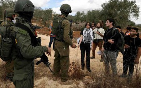 الإحتلال الإسرائيلي يُرحل 32 ناشطًا أجنبيًا ساعدوا مزارعين فلسطينيين في قطاف الزيتون
