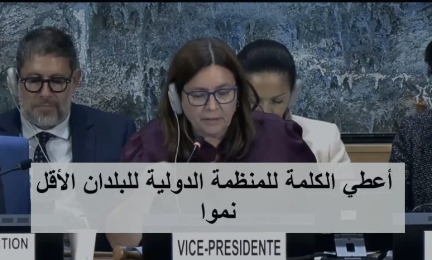 منظمة دولية تدعو إلى إعادة هيكلة المجلس الرئاسي وتشكيل حكومتين انتقاليتين جنوبية وشمالية