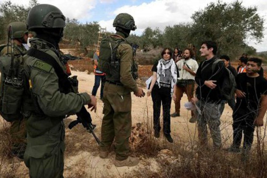 الإحتلال الإسرائيلي يُرحل 32 ناشطًا أجنبيًا ساعدوا مزارعين فلسطينيين في قطاف الزيتون