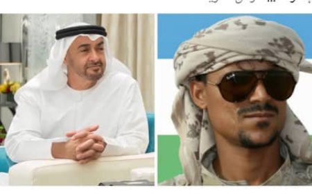 مناشدة تهامية إلى رئيس دولة الإمارات الشيخ محمد بن زايد