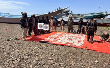 بعملية بحرية نوعية.. الحملة الأمنية لقوات العمالقة تضبط قارباً يحمل 600 ألف قرص كبتاجون