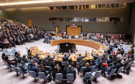 مجلس الأمن يقرّ إنشاء قوة استقرار دولية مؤقتة في غزة بالتنسيق مع مصر والإحتلال الإسرائيلي