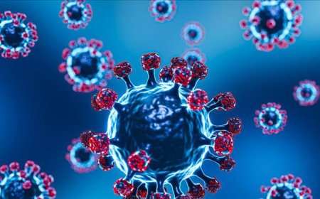 انتشار وباء قاتل في إثيوبيا ومخاوف من انتقاله إلى اليمن