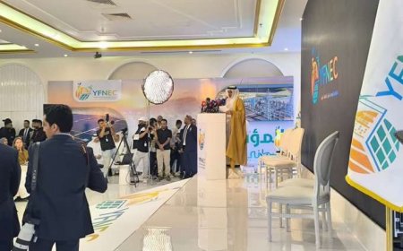 ‏بن بريك: الإمارات تتعهد بدعم قطاع الكهرباء في اليمن بمليار دولار