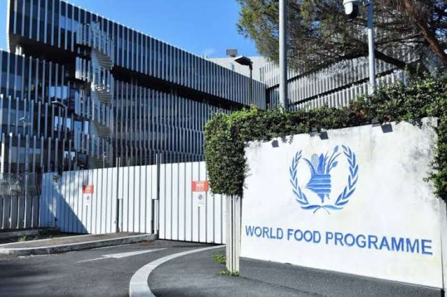 الأمم المتحدة تحذّر من خطر المجاعة الوشيك في مناطق الأزمات حول العالم