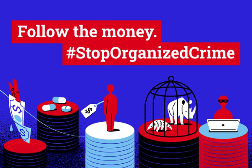 "تتبعوا الأموال أوقفوا الجريمة المنظمة" شعار الأمم المتحدة لإحياء اليوم العالمي لمكافحة الجريمة