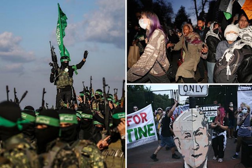 استطلاع لـ«هارفارد-هاريس» يكشف تحولًا جذريًا: 60٪ من جيل “زد” في أمريكا يفضلون حماس على إسرائيل