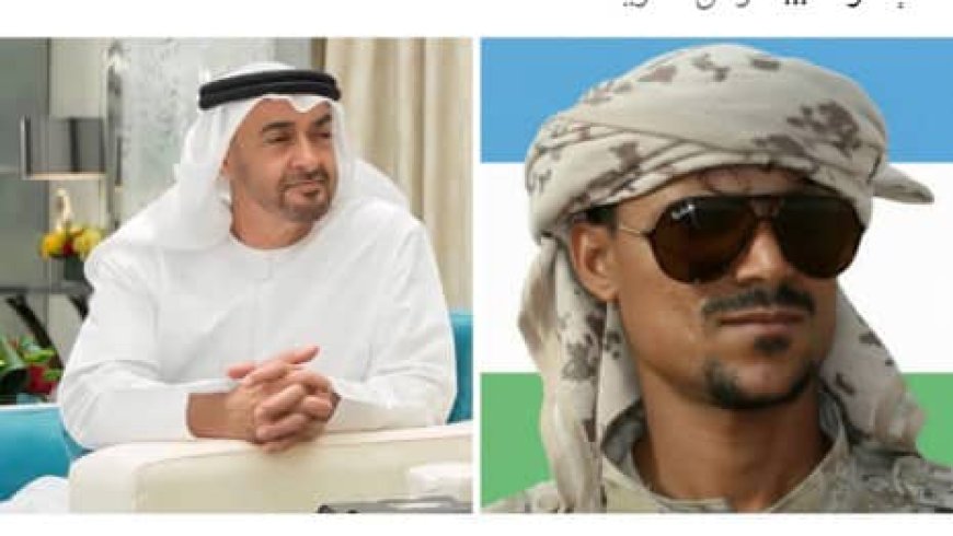 مناشدة تهامية إلى رئيس دولة الإمارات الشيخ محمد بن زايد