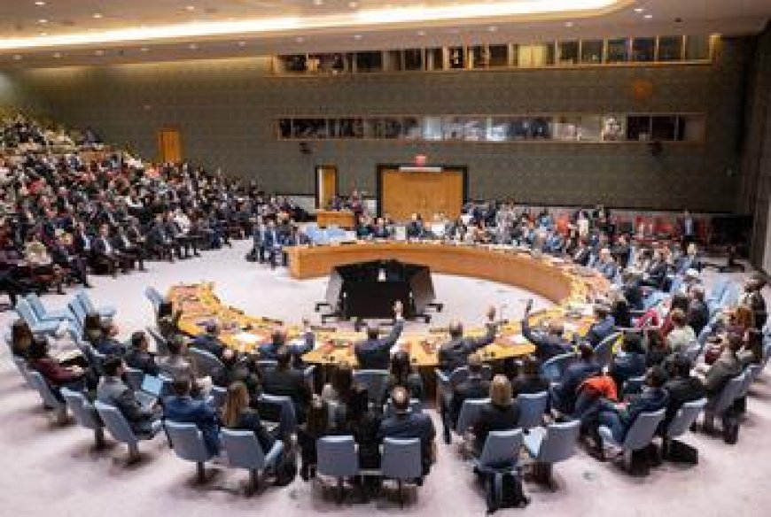 مجلس الأمن يقرّ إنشاء قوة استقرار دولية مؤقتة في غزة بالتنسيق مع مصر والإحتلال الإسرائيلي