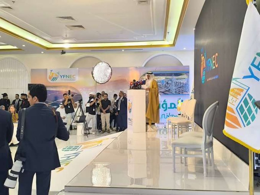 ‏بن بريك: الإمارات تتعهد بدعم قطاع الكهرباء في اليمن بمليار دولار