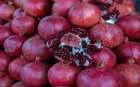 4 فوائد للرمان على صحة القلب