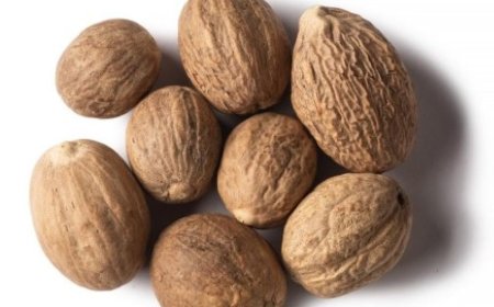 جوزة الطيب… توابل صغيرة بفوائد كبيرة وتحذيرات لا تُهمل