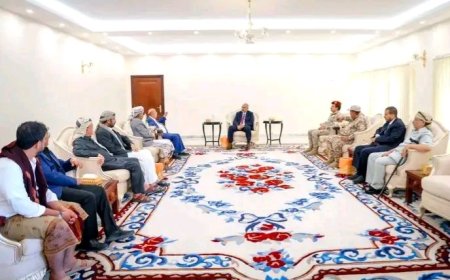 اللواء الزُبيدي يبحث مع الشيخ البركاني سُبل تضافر الجهود لتعزيز الأمن والاستقرار في المحافظات المحررة