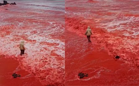 " شلال من الدماء " أمطار غزيرة تحوّل شاطئ جزيرة هرمز الإيراني إلى اللون الأحمر القاني