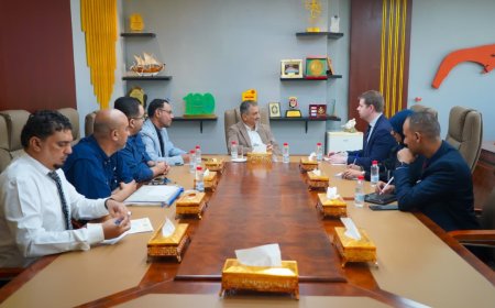 لملس: خطوات المجلس الانتقالي ضرورة لحفظ الاستقرار وحماية مؤسسات الدولة