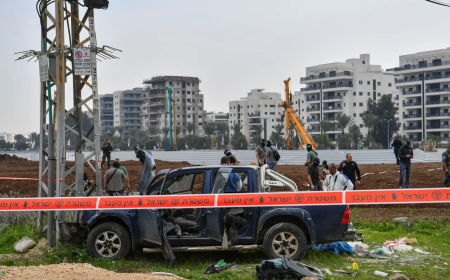 الإحتلال الإسرائيلي يقبض على منفذ عملية الطعن والدهس المزدوجة في بيسان 